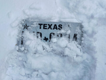 texas license plat in snow