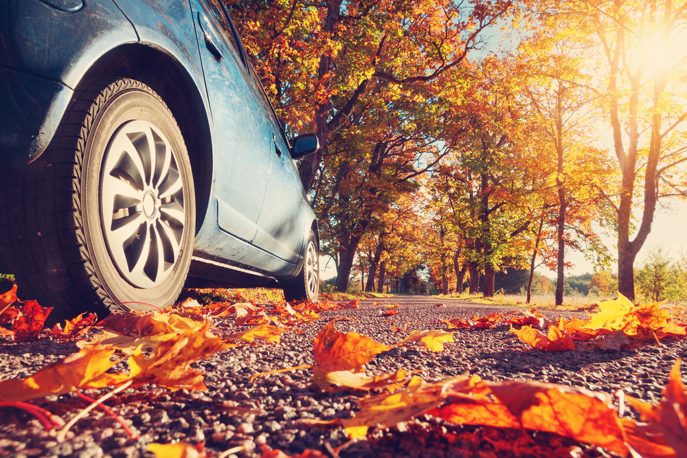 car driving on road with leaves in fall